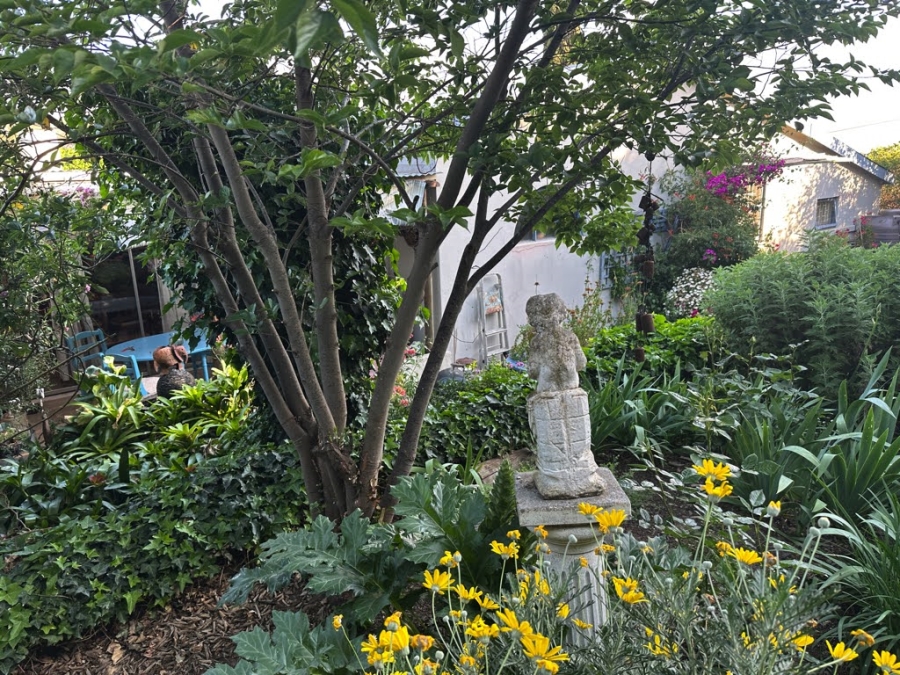 3 Bedroom Property for Sale in Barrydale Western Cape